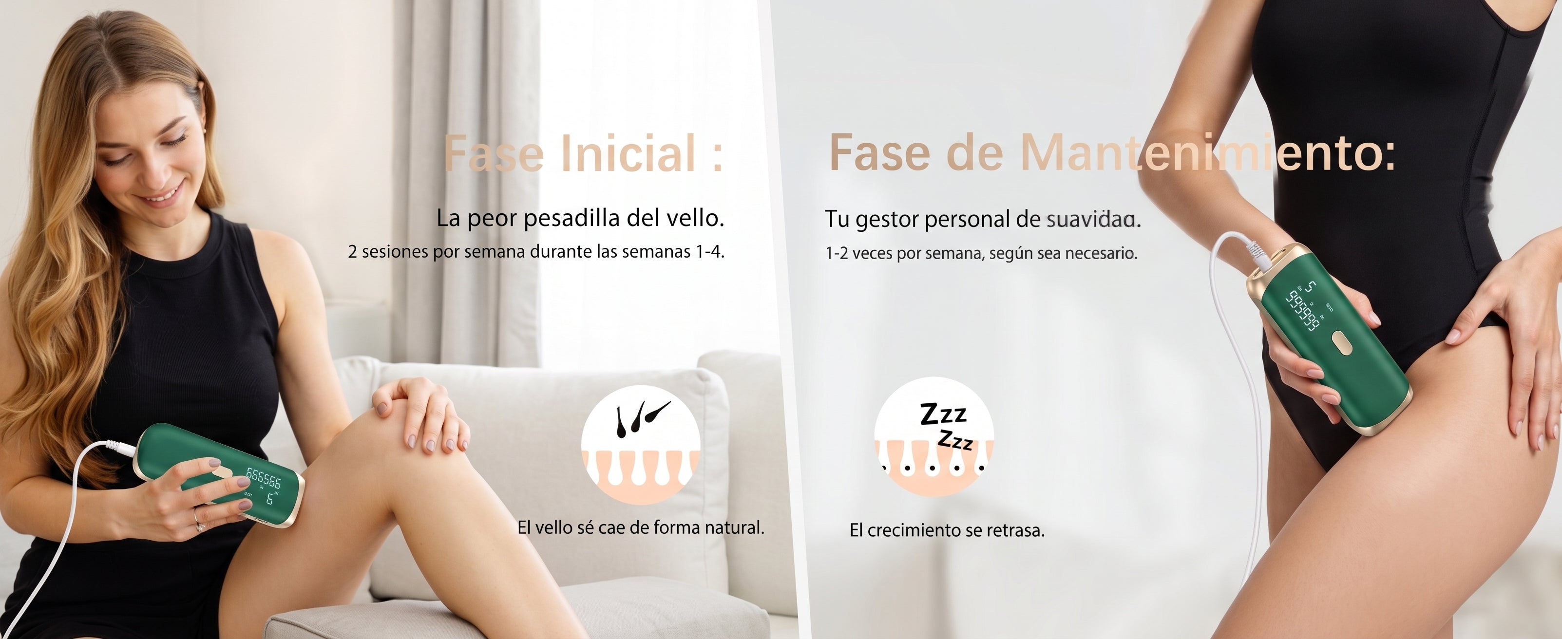 Fase Inicial y Fase de Mantenimiento Alkimara